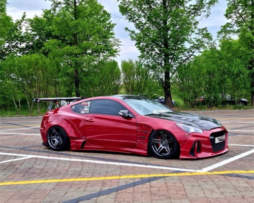 Loense Coupe: Personalized Customization, Showcasing Unique Bagged Style