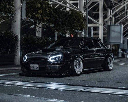 Australian Subaru winged leopard bagged, with a low profile personality